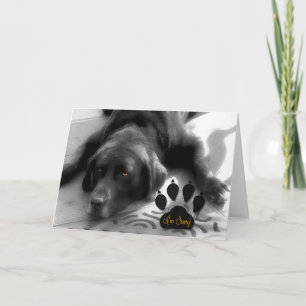 Tarjeta Lamento el extraño verso con perro labrador