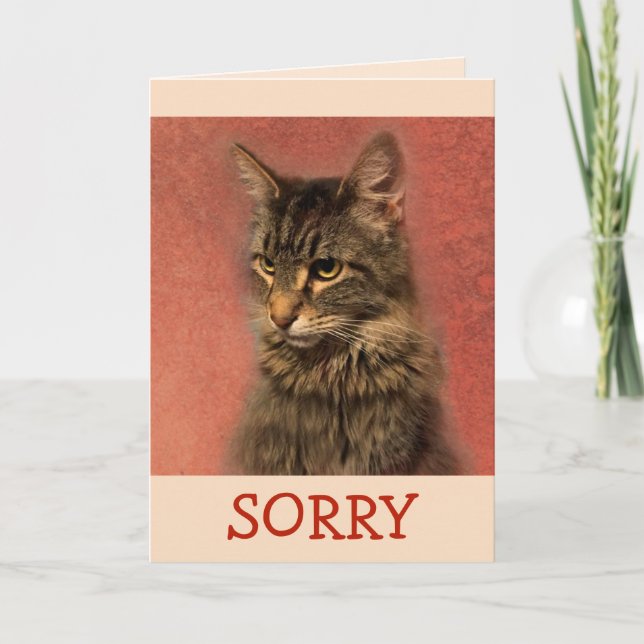 Tarjeta Lamento la disculpa de Kitty (Anverso)