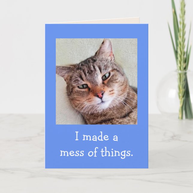 Tarjeta Lamento mucho la disculpa del gato bonito (Anverso)