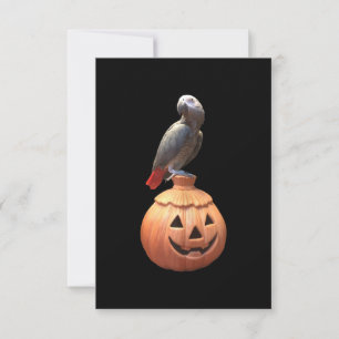 Tarjeta Lámpara de calabaza de Halloween Loro Gris African