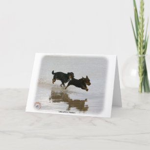 Tarjeta Lancashire Heeler 9R056D-182