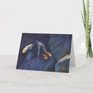 Tarjeta Lanzamiento, birders