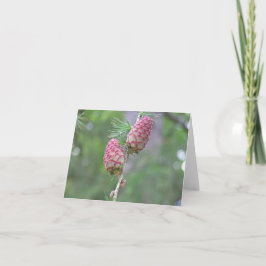 Tarjeta Larch (Larix)