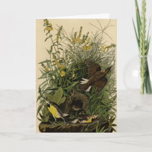 Tarjeta Lark pradera de los pájaros de América de Audubon