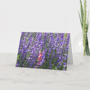 Tarjeta Larkspurs