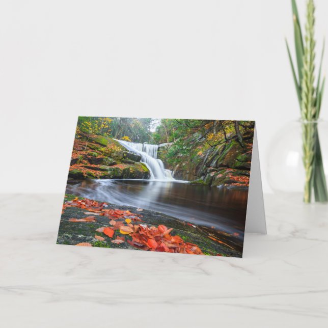 Tarjeta Las caídas de Ender en caída (Anverso)