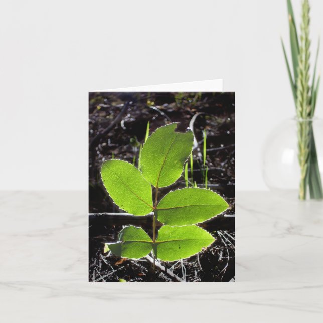 Tarjeta Las cosas serán un Notecard más brillante (Anverso)