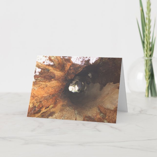 Tarjeta Las cosas son apretadas (Anverso)