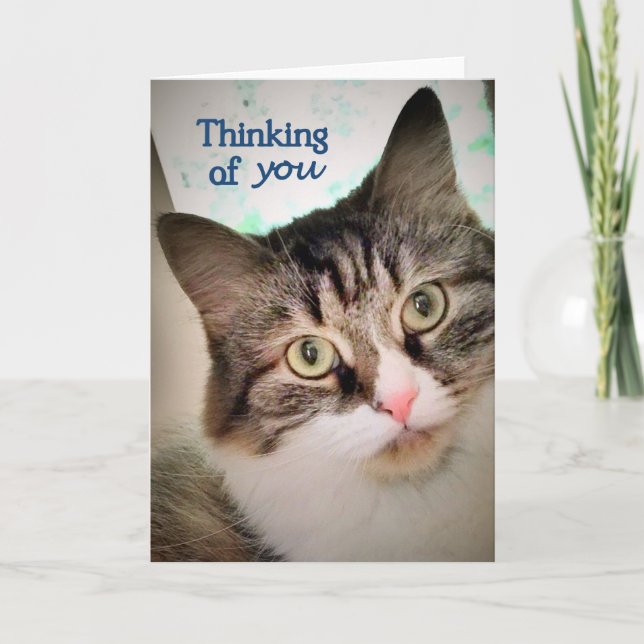 Tarjeta Las expresiones dulces que piensan en usted cardan (Anverso)