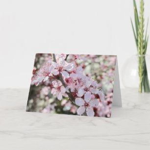 Tarjeta Las Flores De Color Rosa Son Testimonios Rojos.