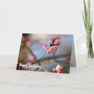 Tarjeta Las Flores De Sakura De Guay En El Fondo Gris