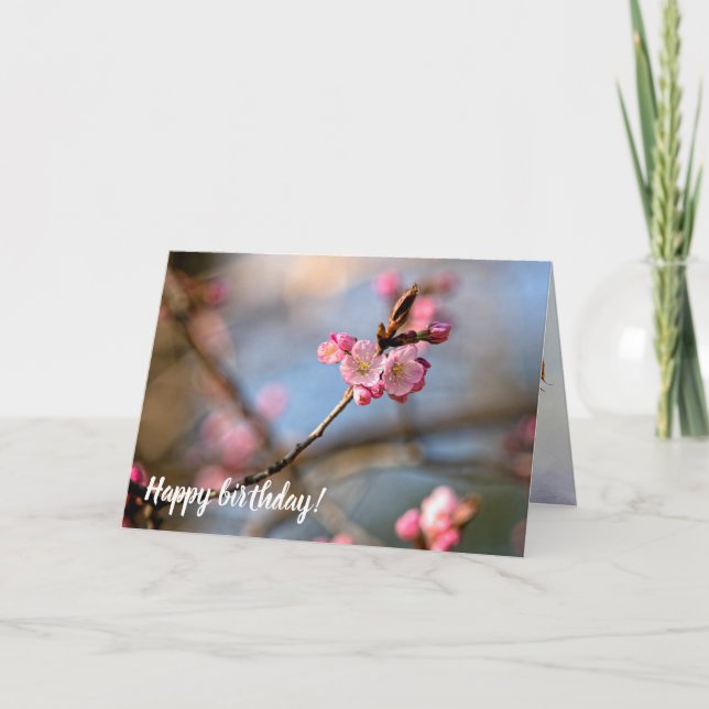 Tarjeta Las Flores De Sakura De Guay En El Fondo Gris (Anverso)