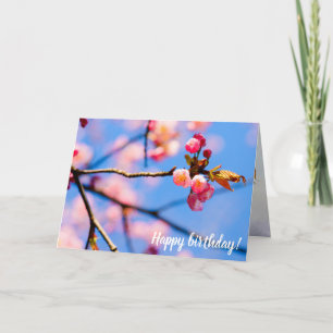 Tarjeta Las Flores De Sakura Recién Nacidas Y El Cielo Azu