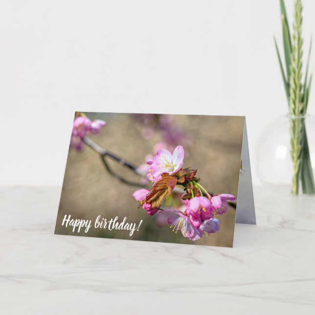 Tarjeta Las Flores De Sakura Sobre El Fondo Verde (Anverso)
