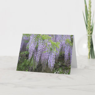 Tarjeta Las Flores De Wisteria Púrpura Modernas Elegantes 