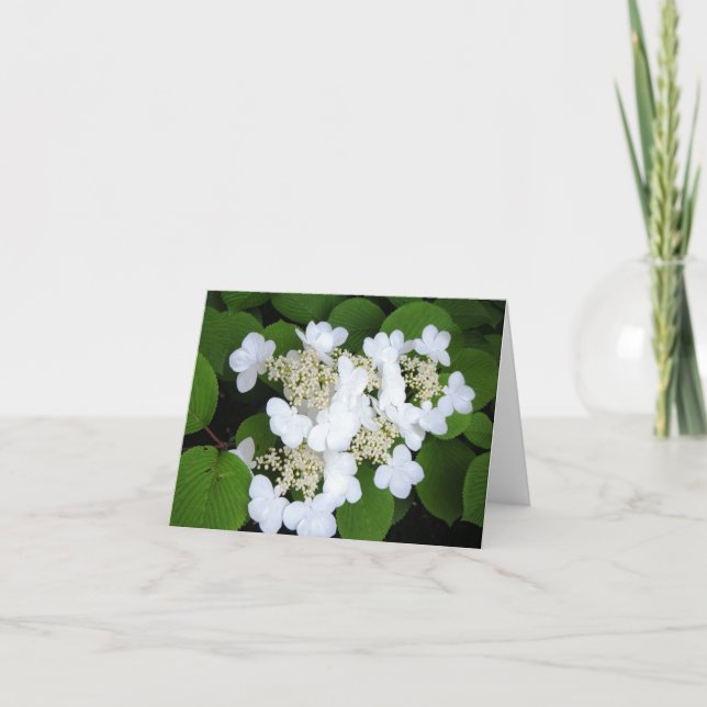 Tarjeta Las "flores tienen gusto de mariposas " (Anverso)