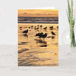 Tarjeta Las Gaviotas Del Mar En La Playa Al Atardecer