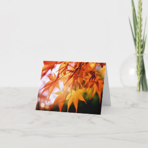 Tarjeta Las hojas de otoño en una madera japonesa