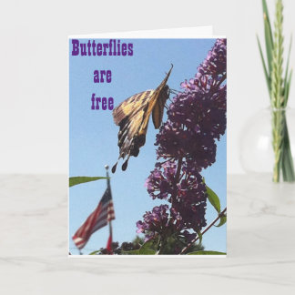 TARJETA LAS MARIPOSAS SON GRATUITAS/EN EL CUMPLEAÑOS, ASÍ