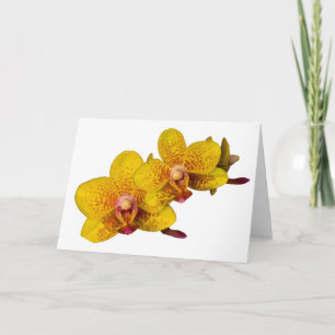 Tarjeta Las orquídeas amarillas en blanco