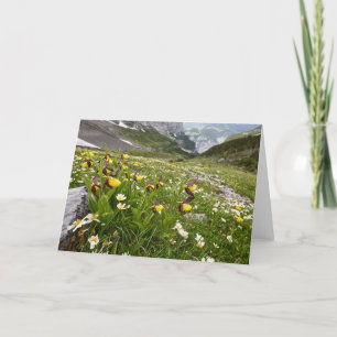 Tarjeta Las orquídeas de las damas para las pantuflas - Ta