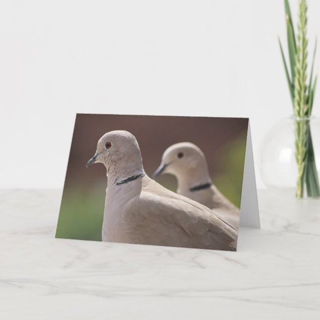 Tarjeta Las palomas enamoradas (Anverso)