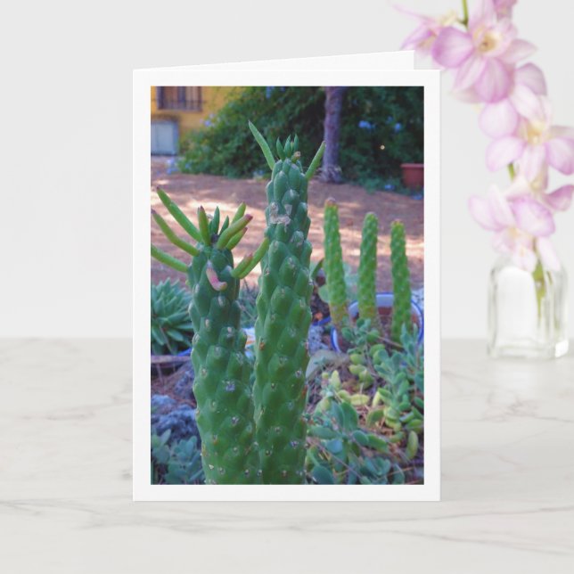 Tarjeta Las plantas de cactus de Pin de Eva (Orquídea)