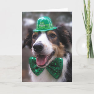 Tarjeta "Lassie irlandesa"