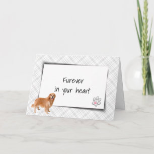 Tarjeta Lástima por el Mascota de Golden Retriever