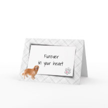 Lástima por el Mascota de Golden Retriever