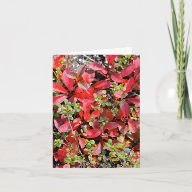 Tarjeta Late Summer in Alaska - 4" x 5.6" Notecard (Anverso)