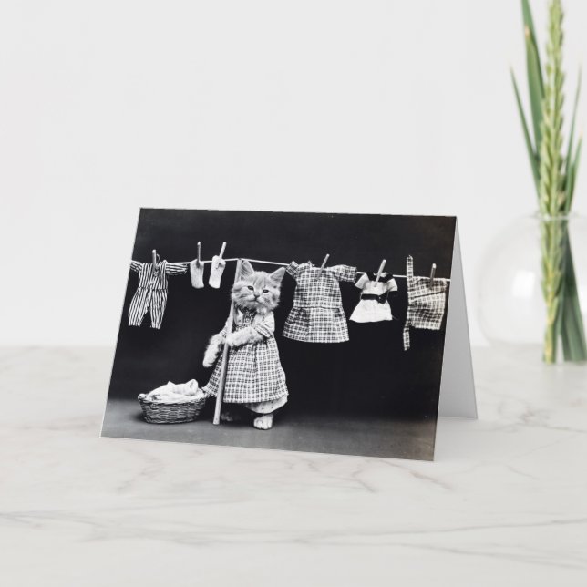 Tarjeta Laundry Day Kitty (Anverso)