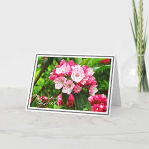 Tarjeta Laurel de Montaña Blanca y Rosa