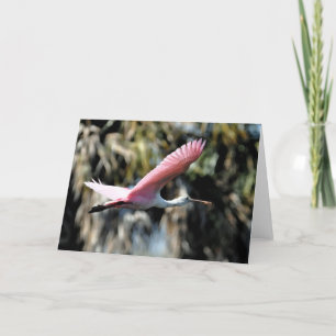 Tarjeta Lavado de la acuarela del Spoonbill rosado