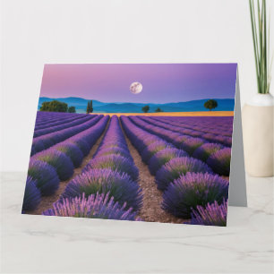 Tarjeta Lavanda Naturaleza Al Aire Libre Paisaje Tranquilo