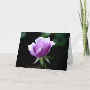 Tarjeta Lavanda subió
