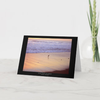 Tarjeta Lavandera en la puesta del sol: Playa de Ventura