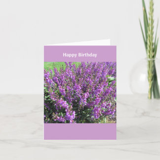 Tarjeta Lavendar florece deseos del cumpleaños