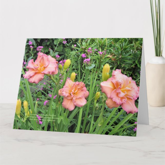 Tarjeta Lavender Doble Dayliles Rosa (Anverso)