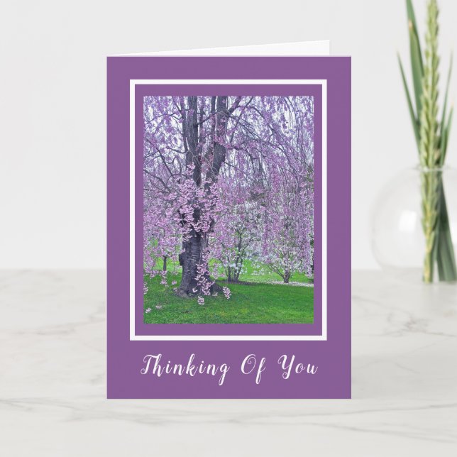 Tarjeta LAVENDORA ROPA DE ROPA CON ÁRBOL DE CERDO/Pensando (Anverso)