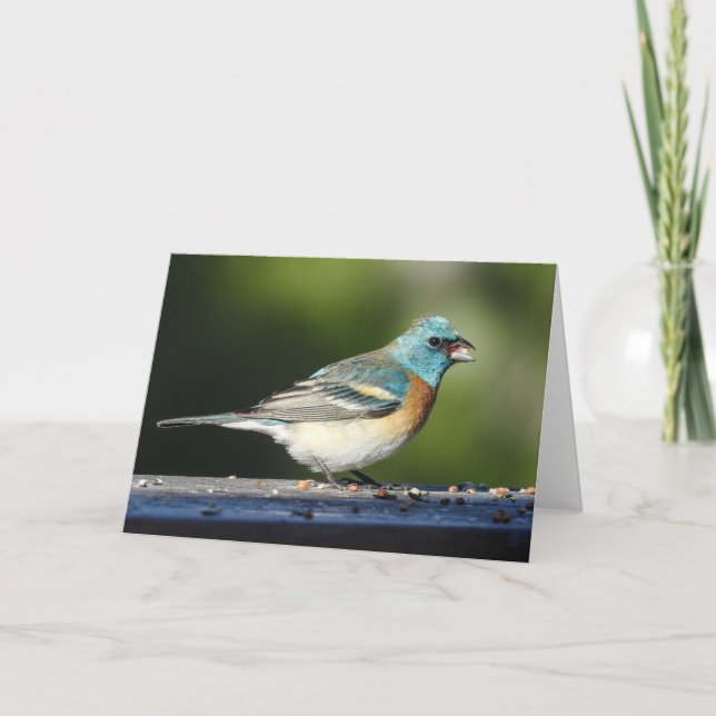 Tarjeta Lazuli Bunting Notecard (Anverso)