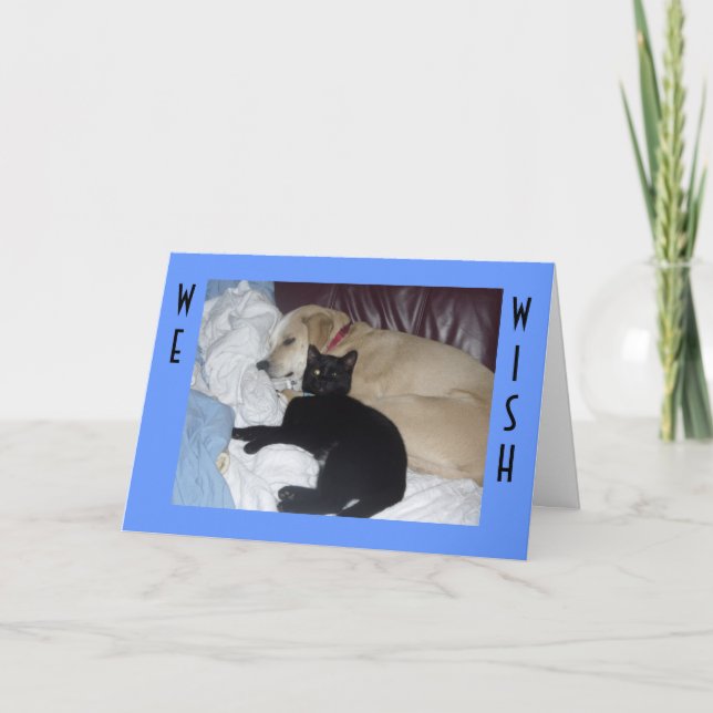 TARJETA LE DESEAMOS UN CUMPLEAÑOS ENFERMO (Anverso)