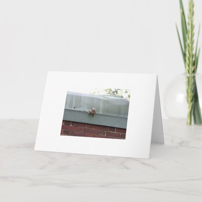 Tarjeta le estoy mirando (Anverso)