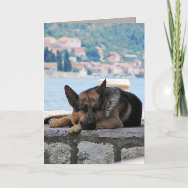 Tarjeta Le falto (Anverso)