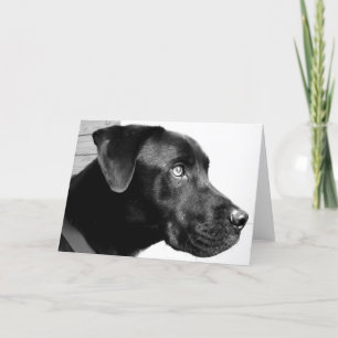 Tarjeta ¡Le falto hombre!