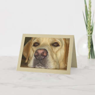 Tarjeta Le falto - Labrador amarillo lindo