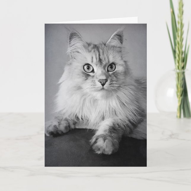 Tarjeta Le Meow Birthday Wishes (Anverso)