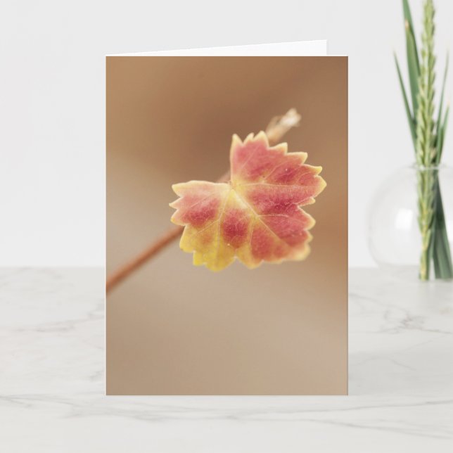 Tarjeta Leaf de otoño (Anverso)