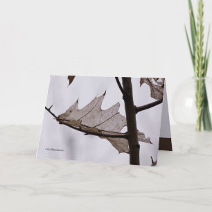 Tarjeta Leaf Ghost Oak