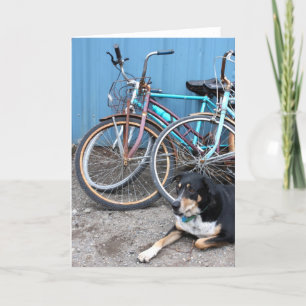 Tarjeta Leal falta de usted